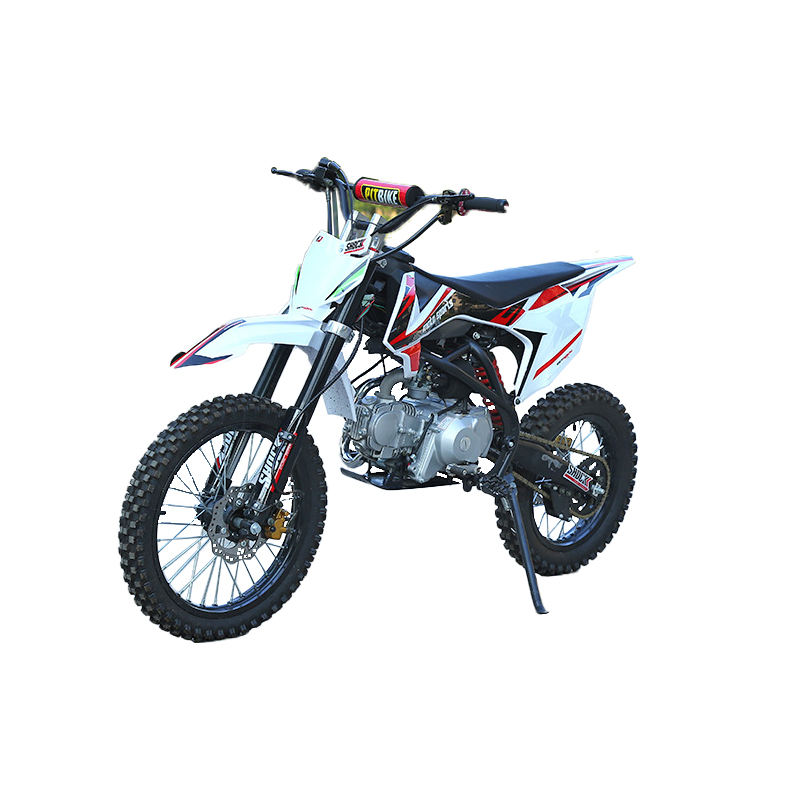 4 Stroke 125cc Two Wheeler Dirt Bike Gasoline Adults Motocross Motorcycle