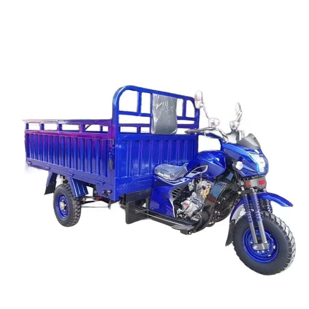 250cc Heavy Duty Cargo Moto Motorcycle Adult Big Truck 3-wheel Tricycle with Gasoline Motor Engine