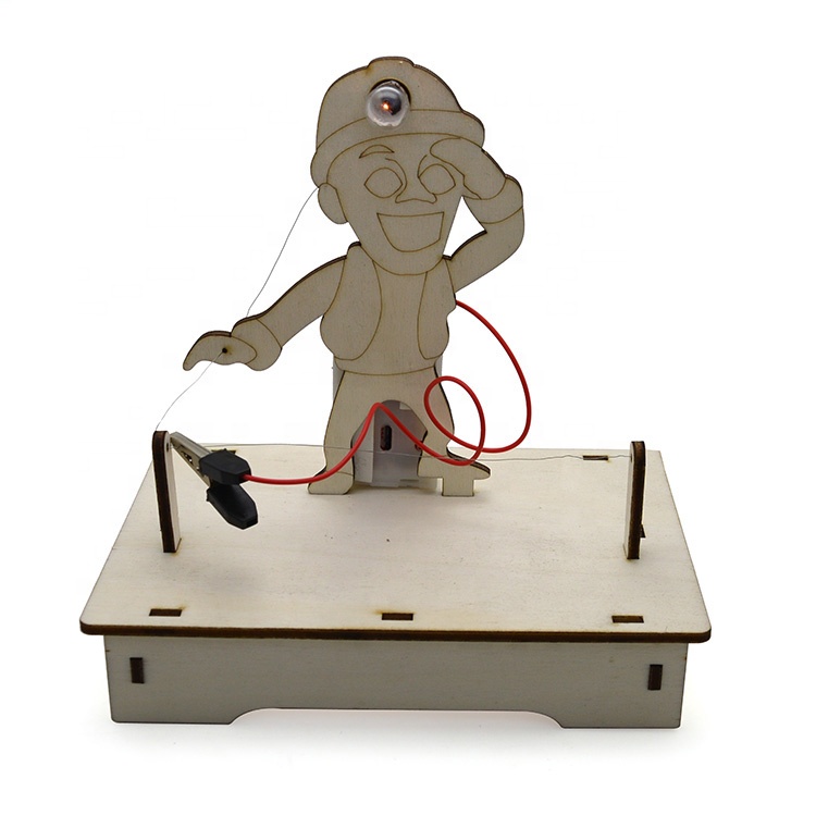 Stem-diy Qiquan Science Education Experiment Wood Model Light Light Children's Toys 